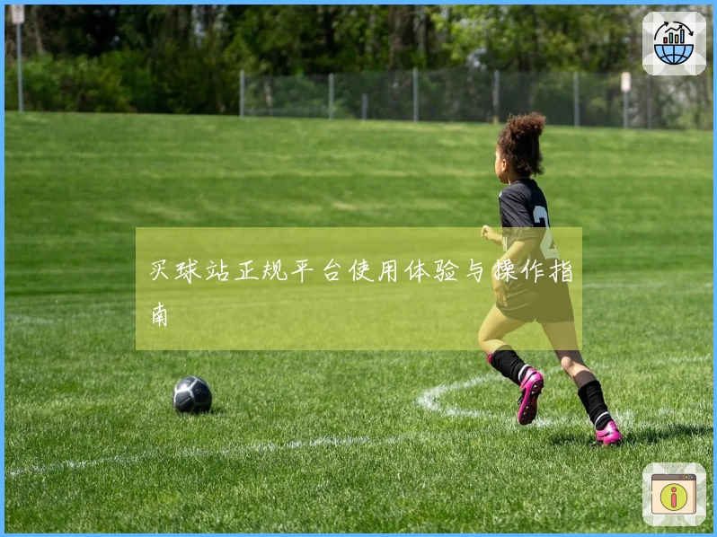 买球站正规平台使用体验与操作指南