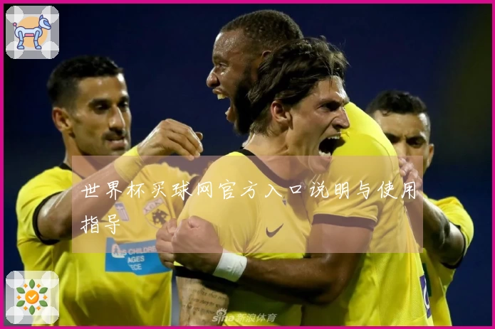 世界杯买球网官方入口说明与使用指导