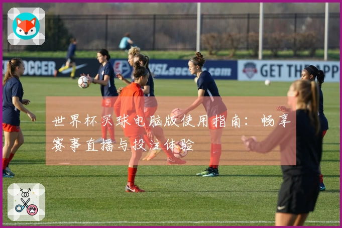 世界杯买球电脑版使用指南：畅享赛事直播与投注体验