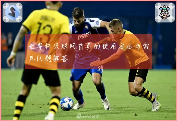 世界杯买球网首页的使用方法与常见问题解答