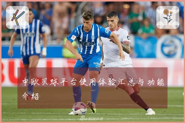 中欧买球平台使用体验汇总与功能介绍