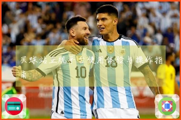 买球站正规平台使用体验与操作指南