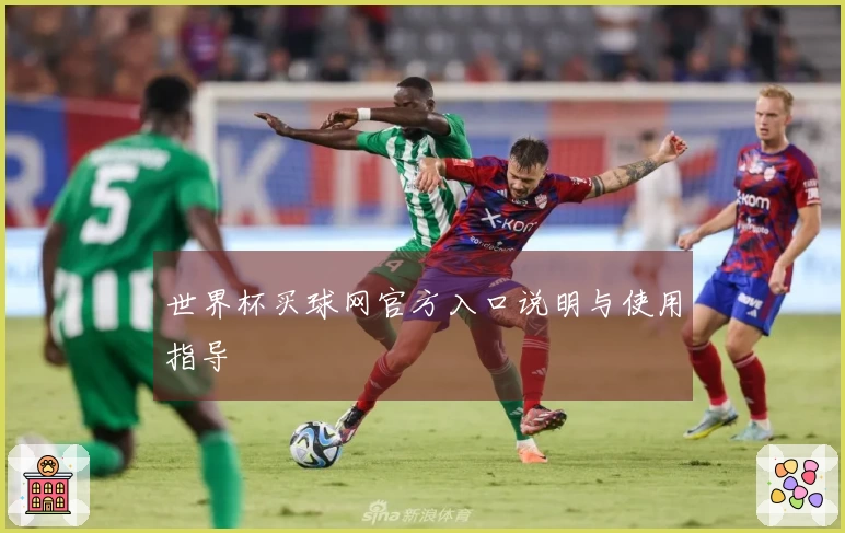 世界杯买球网官方入口说明与使用指导