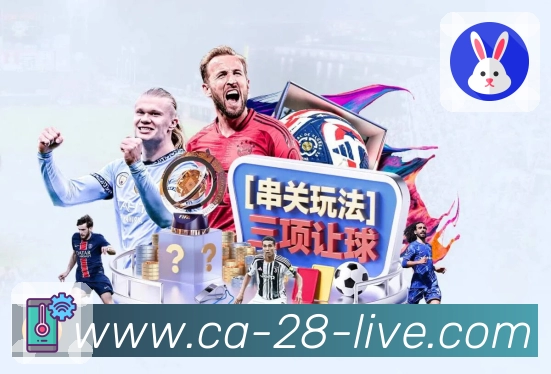 省流观看 省流观看 - 清晰度策略与流量控制